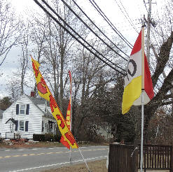 flags flying by the road